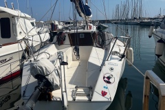 rondine
